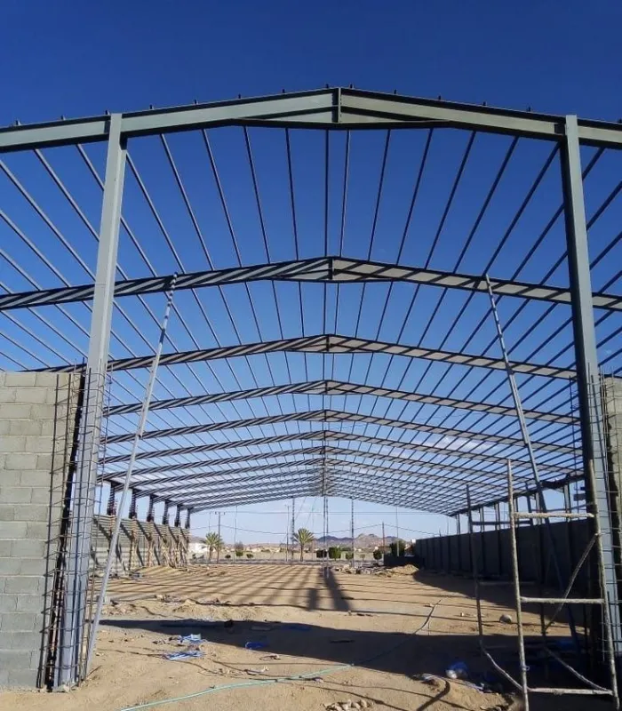 صورة المنشور